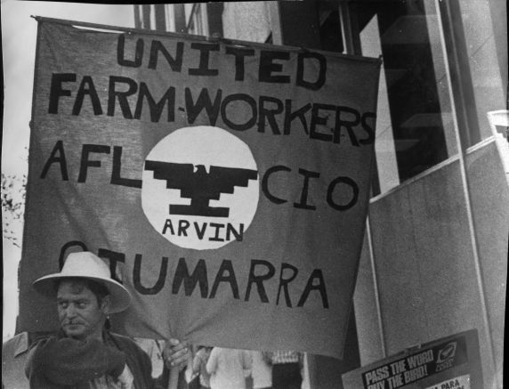 (3641) Guimarra Boycott, rally, Arvin, California (3641) Guimarra Boycott, rally, Arvin, California